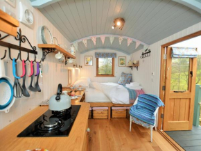 1 Bed in Llanidloes 56492